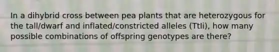 In a dihybrid cross between pea plants that are heterozygous for the tall/dwarf and inflated/constricted alleles (TtIi), how many possible combinations of offspring genotypes are there?