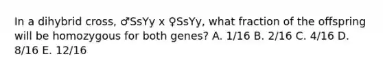 In a dihybrid cross, ♂SsYy x ♀SsYy, what fraction of the offspring will be homozygous for both genes? A. 1/16 B. 2/16 C. 4/16 D. 8/16 E. 12/16