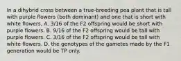 In a dihybrid cross between a true-breeding pea plant that is tall with purple flowers (both dominant) and one that is short with white flowers, A. 3/16 of the F2 offspring would be short with purple flowers. B. 9/16 of the F2 offspring would be tall with purple flowers. C. 3/16 of the F2 offspring would be tall with white flowers. D. the genotypes of the gametes made by the F1 generation would be TP only.