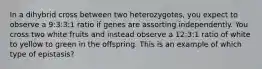 In a dihybrid cross between two heterozygotes, you expect to observe a 9:3:3:1 ratio if genes are assorting independently. You cross two white fruits and instead observe a 12:3:1 ratio of white to yellow to green in the offspring. This is an example of which type of epistasis?