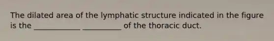 The dilated area of the lymphatic structure indicated in the figure is the ____________ __________ of the thoracic duct.