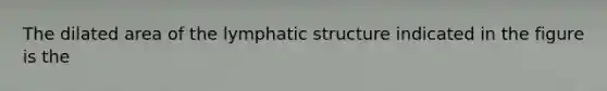 The dilated area of the lymphatic structure indicated in the figure is the