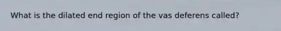 What is the dilated end region of the vas deferens called?