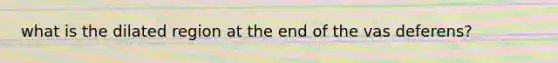 what is the dilated region at the end of the vas deferens?