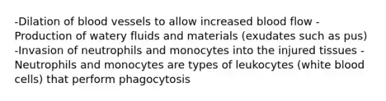 -Dilation of blood vessels to allow increased blood flow -Production of watery fluids and materials (exudates such as pus) -Invasion of neutrophils and monocytes into the injured tissues -Neutrophils and monocytes are types of leukocytes (white blood cells) that perform phagocytosis