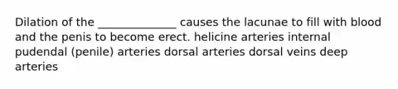 Dilation of the ______________ causes the lacunae to fill with blood and the penis to become erect. helicine arteries internal pudendal (penile) arteries dorsal arteries dorsal veins deep arteries