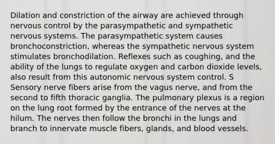 Dilation and constriction of the airway are achieved through nervous control by the parasympathetic and sympathetic nervous systems. The parasympathetic system causes bronchoconstriction, whereas the sympathetic nervous system stimulates bronchodilation. Reflexes such as coughing, and the ability of the lungs to regulate oxygen and carbon dioxide levels, also result from this autonomic nervous system control. S Sensory nerve fibers arise from the vagus nerve, and from the second to fifth thoracic ganglia. The pulmonary plexus is a region on the lung root formed by the entrance of the nerves at the hilum. The nerves then follow the bronchi in the lungs and branch to innervate muscle fibers, glands, and <a href='https://www.questionai.com/knowledge/kZJ3mNKN7P-blood-vessels' class='anchor-knowledge'>blood vessels</a>.