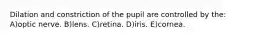 Dilation and constriction of the pupil are controlled by the: A)optic nerve. B)lens. C)retina. D)iris. E)cornea.