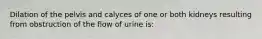 Dilation of the pelvis and calyces of one or both kidneys resulting from obstruction of the flow of urine is: