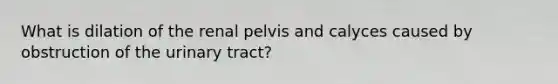 What is dilation of the renal pelvis and calyces caused by obstruction of the urinary tract?