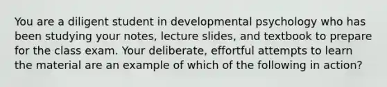 You are a diligent student in developmental psychology who has been studying your notes, lecture slides, and textbook to prepare for the class exam. Your deliberate, effortful attempts to learn the material are an example of which of the following in action?