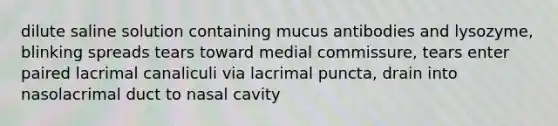 dilute saline solution containing mucus antibodies and lysozyme, blinking spreads tears toward medial commissure, tears enter paired lacrimal canaliculi via lacrimal puncta, drain into nasolacrimal duct to nasal cavity