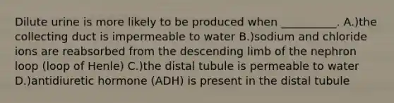 Dilute urine is more likely to be produced when __________. A.)the collecting duct is impermeable to water B.)sodium and chloride ions are reabsorbed from the descending limb of the nephron loop (loop of Henle) C.)the distal tubule is permeable to water D.)antidiuretic hormone (ADH) is present in the distal tubule