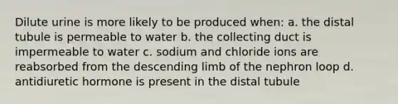 Dilute urine is more likely to be produced when: a. the distal tubule is permeable to water b. the collecting duct is impermeable to water c. sodium and chloride ions are reabsorbed from the descending limb of the nephron loop d. antidiuretic hormone is present in the distal tubule