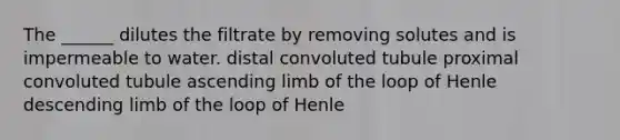 The ______ dilutes the filtrate by removing solutes and is impermeable to water. distal convoluted tubule proximal convoluted tubule ascending limb of the loop of Henle descending limb of the loop of Henle