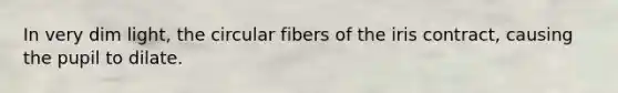 In very dim light, the circular fibers of the iris contract, causing the pupil to dilate.