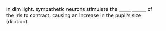 In dim light, sympathetic neurons stimulate the _____ ______ of the iris to contract, causing an increase in the pupil's size (dilation)