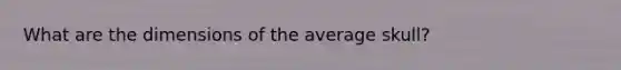 What are the dimensions of the average skull?