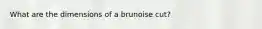 What are the dimensions of a brunoise cut?