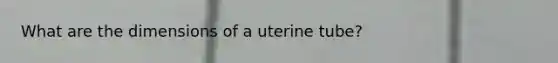 What are the dimensions of a uterine tube?