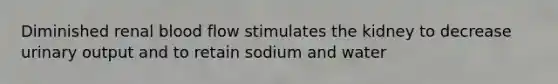 Diminished renal blood flow stimulates the kidney to decrease urinary output and to retain sodium and water