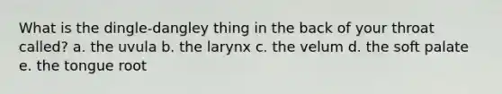 What is the dingle-dangley thing in the back of your throat called? a. the uvula b. the larynx c. the velum d. the soft palate e. the tongue root