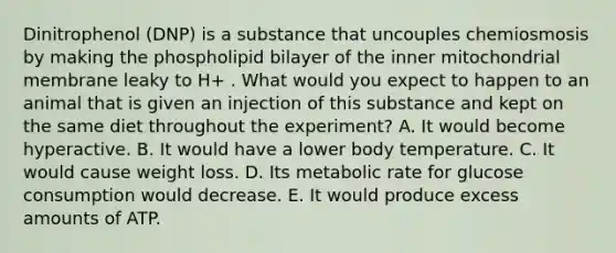 Dinitrophenol (DNP) is a substance that uncouples chemiosmosis by making the phospholipid bilayer of the inner mitochondrial membrane leaky to H+ . What would you expect to happen to an animal that is given an injection of this substance and kept on the same diet throughout the experiment? A. It would become hyperactive. B. It would have a lower body temperature. C. It would cause weight loss. D. Its metabolic rate for glucose consumption would decrease. E. It would produce excess amounts of ATP.