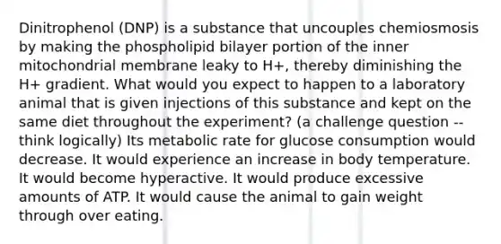 Dinitrophenol (DNP) is a substance that uncouples chemiosmosis by making the phospholipid bilayer portion of the inner mitochondrial membrane leaky to H+, thereby diminishing the H+ gradient. What would you expect to happen to a laboratory animal that is given injections of this substance and kept on the same diet throughout the experiment? (a challenge question -- think logically) Its metabolic rate for glucose consumption would decrease. It would experience an increase in body temperature. It would become hyperactive. It would produce excessive amounts of ATP. It would cause the animal to gain weight through over eating.