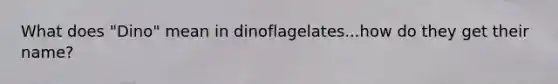 What does "Dino" mean in dinoflagelates...how do they get their name?