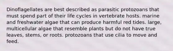 Dinoflagellates are best described as parasitic protozoans that must spend part of their life cycles in vertebrate hosts. marine and freshwater algae that can produce harmful red tides. large, multicellular algae that resemble plants but do not have true leaves, stems, or roots. protozoans that use cilia to move and feed.