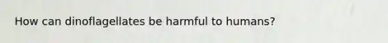 How can dinoflagellates be harmful to humans?