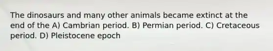 The dinosaurs and many other animals became extinct at the end of the A) Cambrian period. B) Permian period. C) Cretaceous period. D) Pleistocene epoch