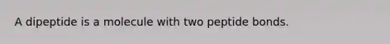 A dipeptide is a molecule with two peptide bonds.