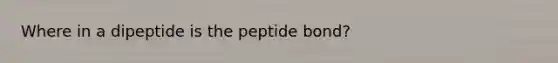 Where in a dipeptide is the peptide bond?