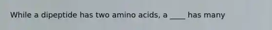 While a dipeptide has two amino acids, a ____ has many