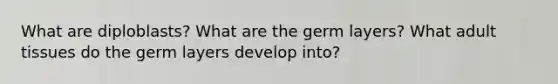 What are diploblasts? What are the germ layers? What adult tissues do the germ layers develop into?