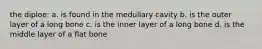 the diploe: a. is found in the medullary cavity b. is the outer layer of a long bone c. is the inner layer of a long bone d. is the middle layer of a flat bone