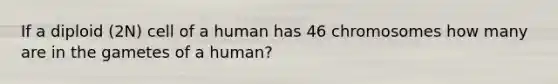 If a diploid (2N) cell of a human has 46 chromosomes how many are in the gametes of a human?