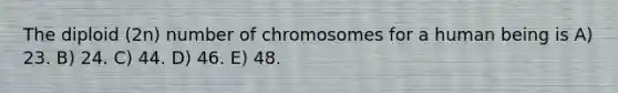 The diploid (2n) number of chromosomes for a human being is A) 23. B) 24. C) 44. D) 46. E) 48.