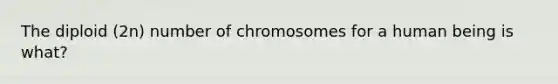 The diploid (2n) number of chromosomes for a human being is what?