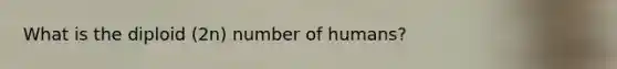 What is the diploid (2n) number of humans?