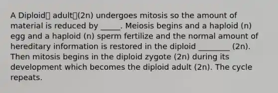 A Diploid adult(2n) undergoes mitosis so the amount of material is reduced by _____. Meiosis begins and a haploid (n) egg and a haploid (n) sperm fertilize and the normal amount of hereditary information is restored in the diploid ________ (2n). Then mitosis begins in the diploid zygote (2n) during its development which becomes the diploid adult (2n). The cycle repeats.