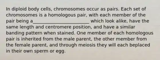 In diploid body cells, chromosomes occur as pairs. Each set of chromosomes is a homologous pair, with each member of the pair being a_________________________ which look alike, have the same length and centromere position, and have a similar banding pattern when stained. One member of each homologous pair is inherited from the male parent, the other member from the female parent, and through meiosis they will each beplaced in their own sperm or egg.