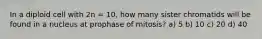 In a diploid cell with 2n = 10, how many sister chromatids will be found in a nucleus at prophase of mitosis? a) 5 b) 10 c) 20 d) 40