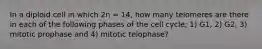 In a diploid cell in which 2n = 14, how many telomeres are there in each of the following phases of the cell cycle; 1) G1, 2) G2, 3) mitotic prophase and 4) mitotic telophase?