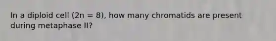 In a diploid cell (2n = 8), how many chromatids are present during metaphase II?