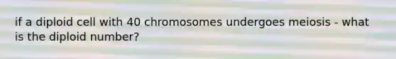 if a diploid cell with 40 chromosomes undergoes meiosis - what is the diploid number?