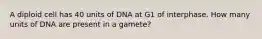 A diploid cell has 40 units of DNA at G1 of interphase. How many units of DNA are present in a gamete?