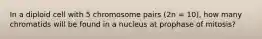 In a diploid cell with 5 chromosome pairs (2n = 10), how many chromatids will be found in a nucleus at prophase of mitosis?