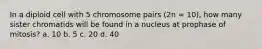 In a diploid cell with 5 chromosome pairs (2n = 10), how many sister chromatids will be found in a nucleus at prophase of mitosis? a. 10 b. 5 c. 20 d. 40